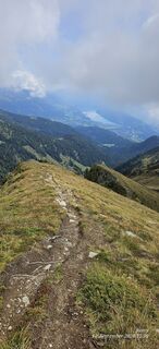 Fotografija s spletne strani Romy na poti