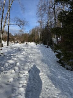 Foto de Ronald Bartel a lo largo del recorrido