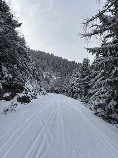 Foto von Heinz Sperl entlang der Tour