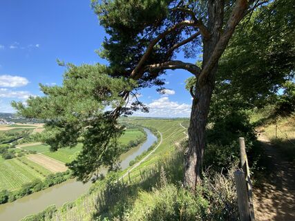 Fotografia z Arthur Muskalla na trase