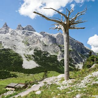 Gauertaler AlpkulTour (c) Andreas Haller - Montafon Tourismus GmbH, Schruns.jpg