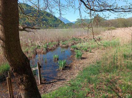 Foto fra Gerold171 undervejs på turen