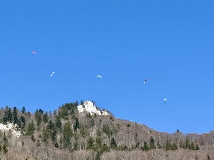 Foto von Natur_erleben_dg entlang der Tour