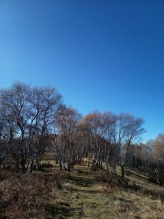 Foto de Aner a lo largo del recorrido