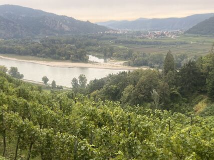 Fotografia z kristianduus na trase