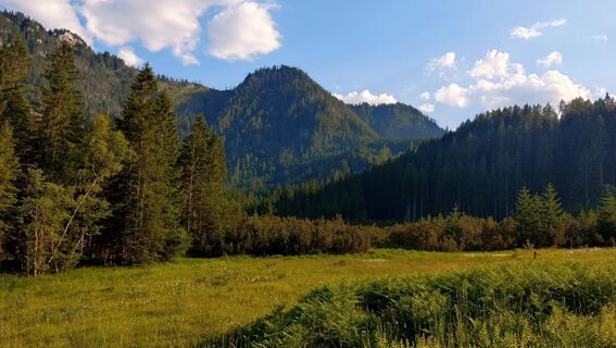 Fotografija s spletne strani István Gábor 1 na poti