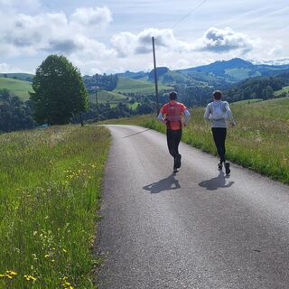 Sanfter Beginn - Schwarzenburg-Köniz Trailrun
