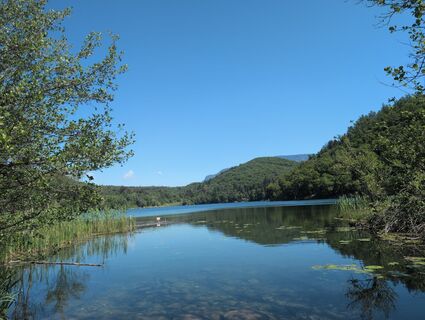 Photo de Floppy 1 le long du parcours