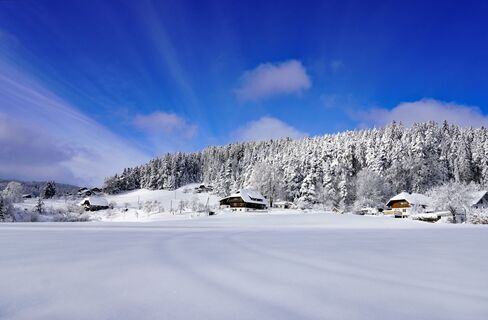 Auerhahn Winterwanderweg