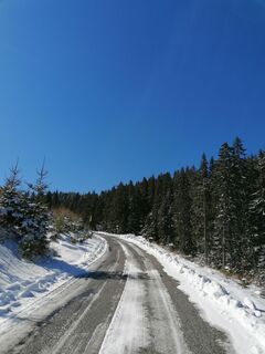 Foto de Žaneta Schelling a lo largo del recorrido