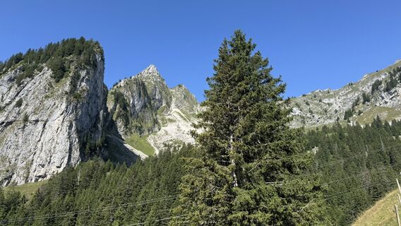 Foto von Overneuk entlang der Tour
