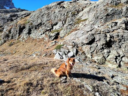 Fotografija s spletne strani Piopollo2005 na poti