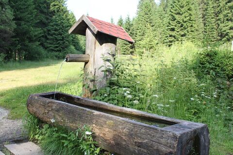 Entlang des Lichtbergweges