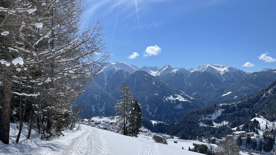 Winterwandern am Bifangweg