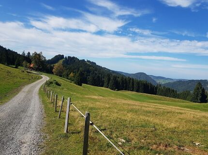 Foto de Peraus Sepo a lo largo del recorrido