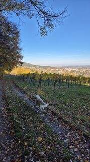 Foto von Claudia Maurer entlang der Tour