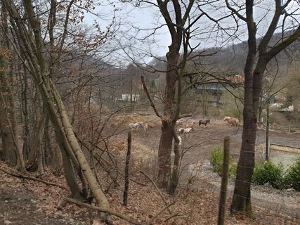 Foto von Georg B. Meier entlang der Tour