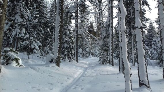 teufelstein - eine sagenhafte schneeschuhwanderung_img_21751204