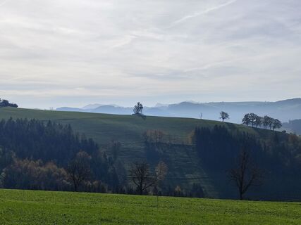 Foto von Sonja Cerny entlang der Tour