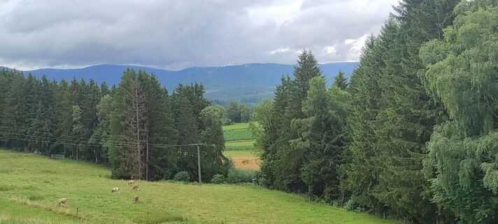 Photo de Andreas Herget le long du parcours