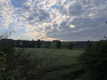 Photo de Schaali le long du parcours
