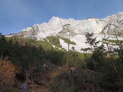 Foto von DH entlang der Tour