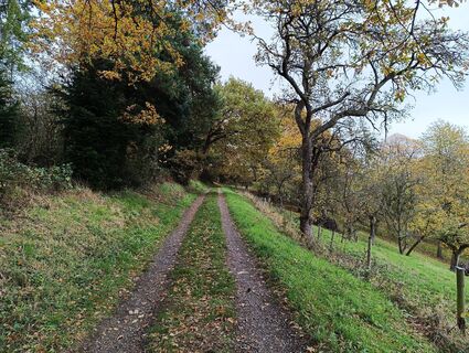 Foto de Dario Mansi a lo largo del recorrido