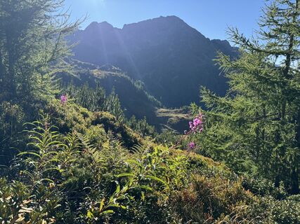 Foto von Zweman entlang der Tour