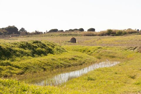MTB-Tour Sérignan entre Orb et Canal@Karinegregoire (1)
