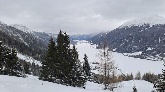 Photo de Gibi le long du parcours