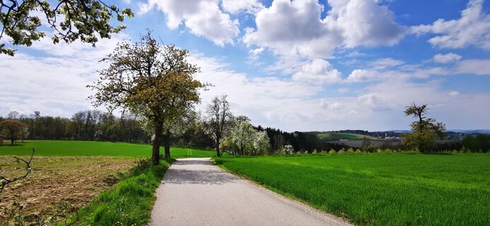 Foto von Klaus Lehner entlang der Tour
