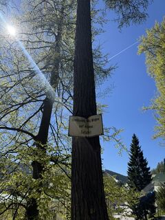 Foto von Moritz Kleinsasser entlang der Tour