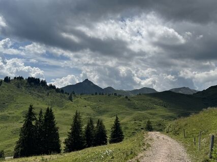 Foto von Andrea Omlin entlang der Tour