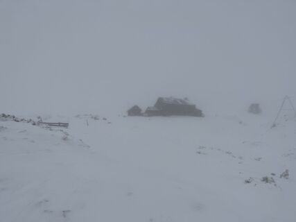 Foto da Amiks lungo il tour