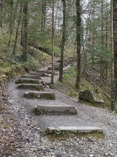Photo de Daniela D le long du parcours