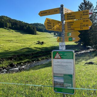 Wegweiser Bernhalden