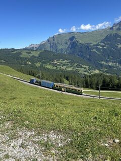 Fotografia z Julius Walliser na trase