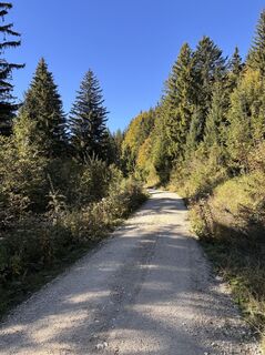 Photo de Heinz Sperl le long du parcours