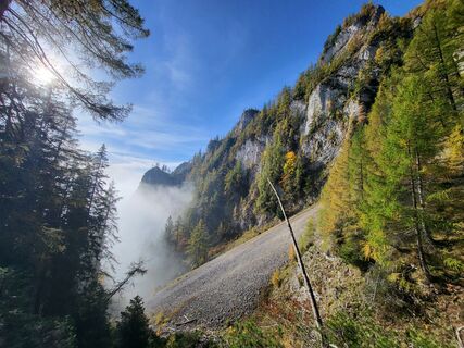 Photo de Claudia Maier 2 le long du parcours
