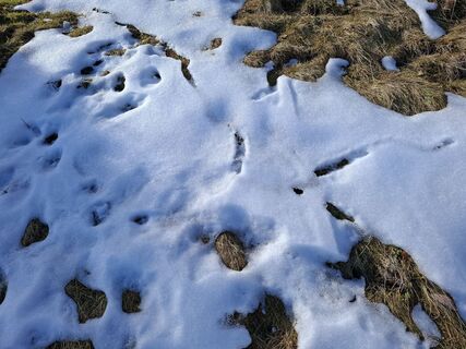 Foto von Maurer Silvia entlang der Tour