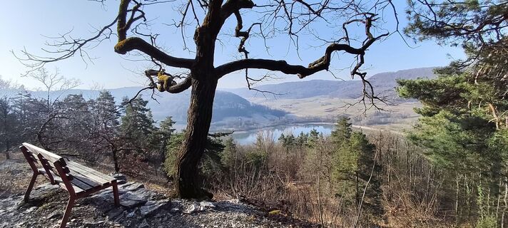 Fotografie z Iryna na trase