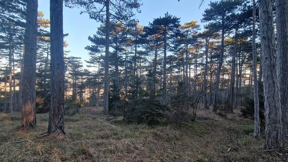 Fotografia z Claudia Maurer na trase