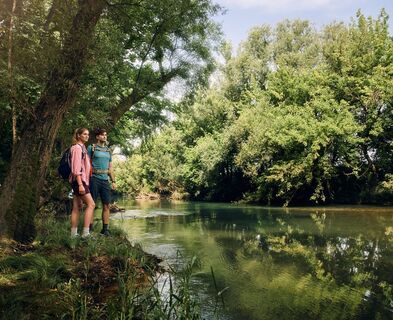 Der berühmte Karstfluss Vipava.