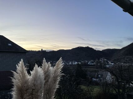 Binningen, Rheinland-Pfalz/Deutschland