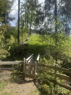 Photo de AB le long du parcours