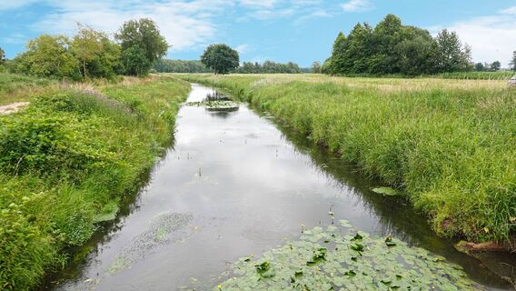 Nordradde in Berßen