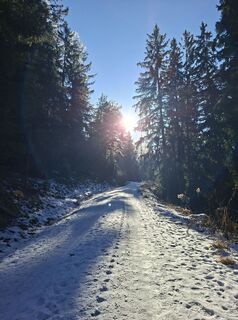 Foto von Manu entlang der Tour