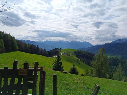 Foto von Wanderkatze entlang der Tour