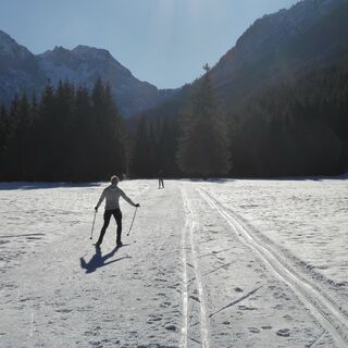 Abschnittsweise führen die Loipe und der Winterwanderweg gemeinsam Richtung Jägersee.