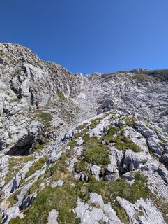 Fotografija s spletne strani Phil na poti